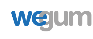 wegum We produce premium quality and low cost stabilizers solution for your processed food